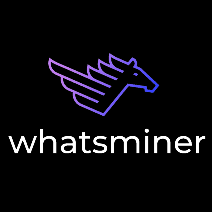ASIC WhatsMiner